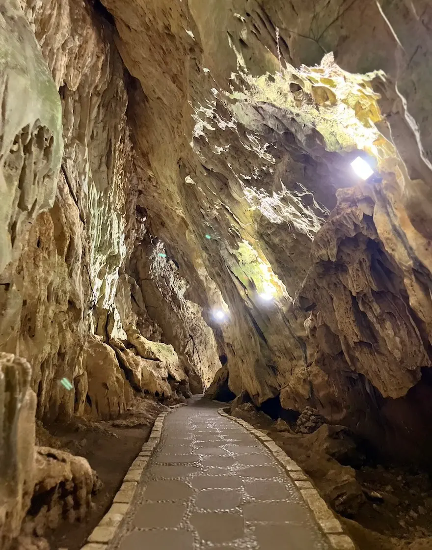 墾丁森林遊樂區祕境探索